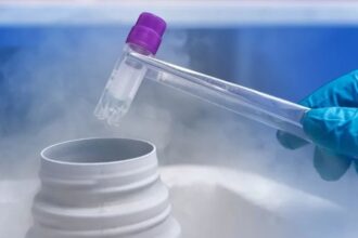 Congelación de óvulos en Chile: altos precios y limitada cobertura desafían la accesibilidad a tratamientos de fertilidad