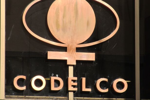 Codelco Gana US$ 25,37 Millones en Arbitraje Contra Ecuador por Proyecto Minero Llurimagua