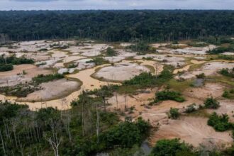 Gobierno de Perú enfrenta la minería ilegal: Nueva ley promete mayor seguridad y desarrollo regional