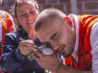 Collective Mining Impulsa Acciones tras Descubrir 397,5 Metros de Oro en Proyecto Guayabales, Colombia
