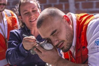 Collective Mining Impulsa Acciones tras Descubrir 397,5 Metros de Oro en Proyecto Guayabales, Colombia