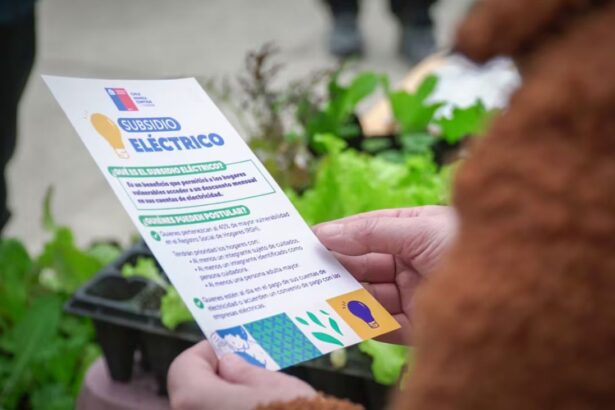 Consulta los Beneficiarios del Subsidio Eléctrico para Familias Vulnerables: Fechas y Requisitos Clave