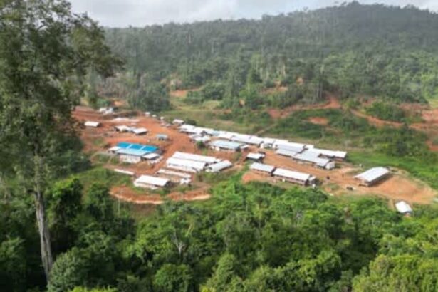 G Mining avanza con éxito en proyecto Gurupi tras decisión judicial en Brasil