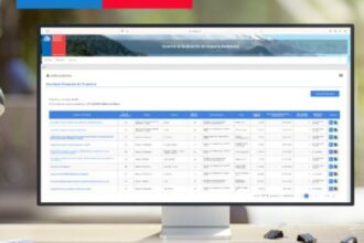 Modernización del e-SEIA revoluciona acceso a información ambiental en Chile