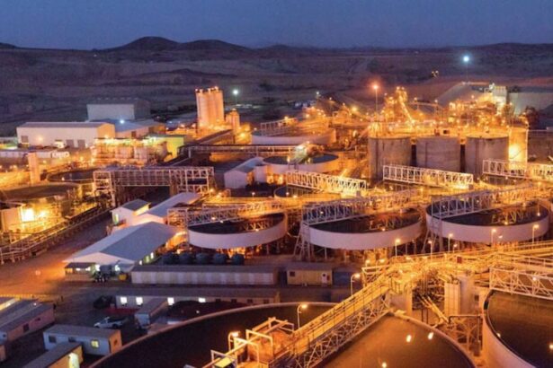 Acciones de Paladin Energy se hunden tras guía desalentadora para 2026