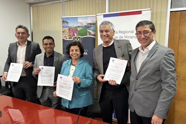 Ministerio de Minería y UDA impulsan programa PAMMA en regiones mineras
