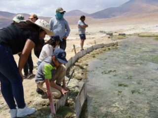 Minera El Abra avanza en Plan de Manejo Ambiental del Salar de Ascotán
