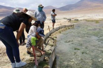 Minera El Abra avanza en Plan de Manejo Ambiental del Salar de Ascotán