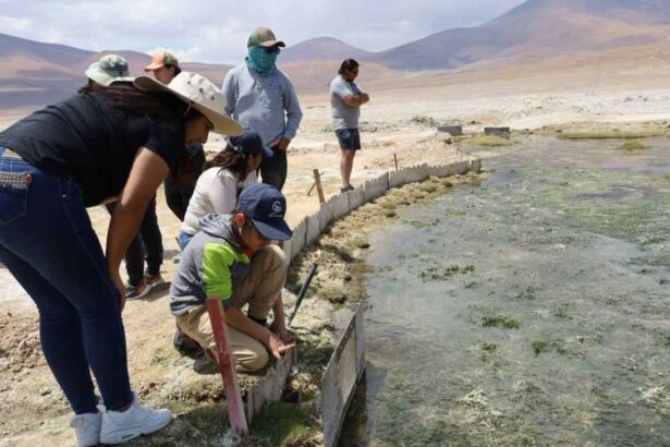 Minera El Abra avanza en Plan de Manejo Ambiental del Salar de Ascotán
