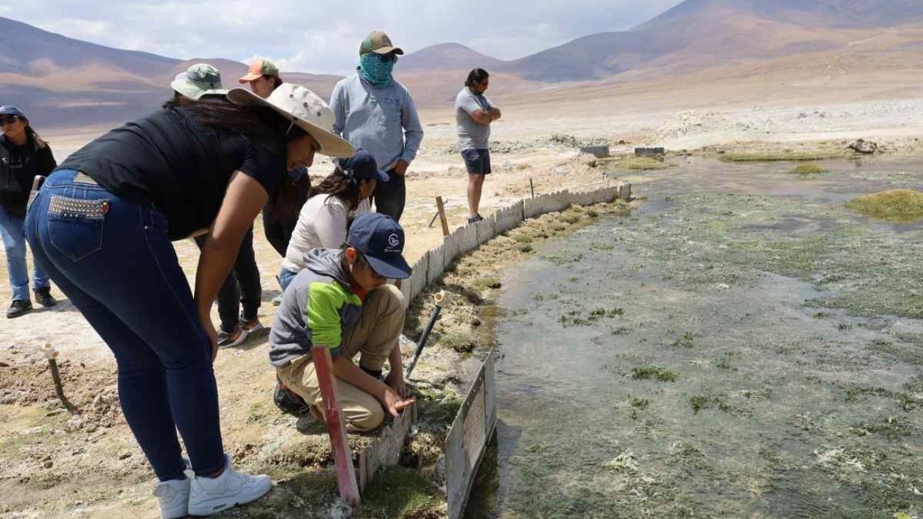 Minera El Abra avanza en Plan de Manejo Ambiental del Salar de Ascotán