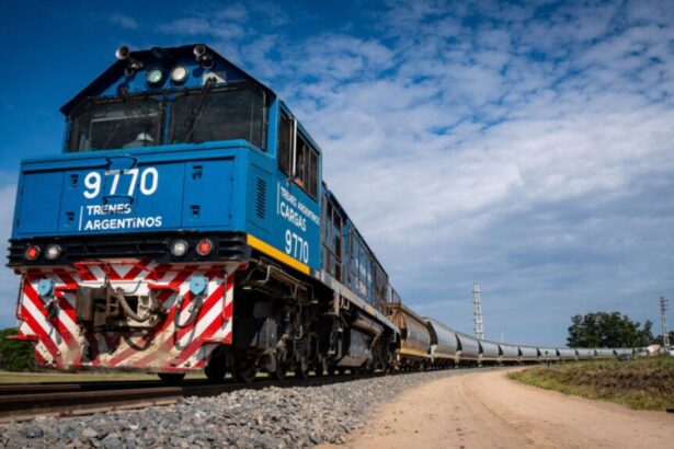 Privatización de Belgrano Cargas: división en tres unidades a rematar.