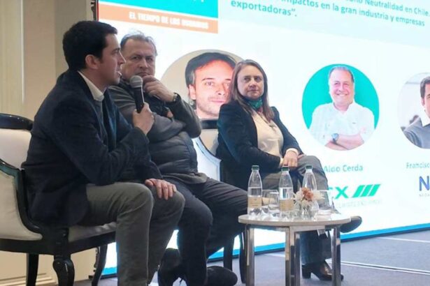 Alerta de Negawatt sobre falta de eficiencia energética en empresas chilenas