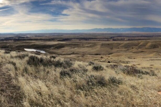 Mina Brook: permiso histórico para extraer elementos en Wyoming