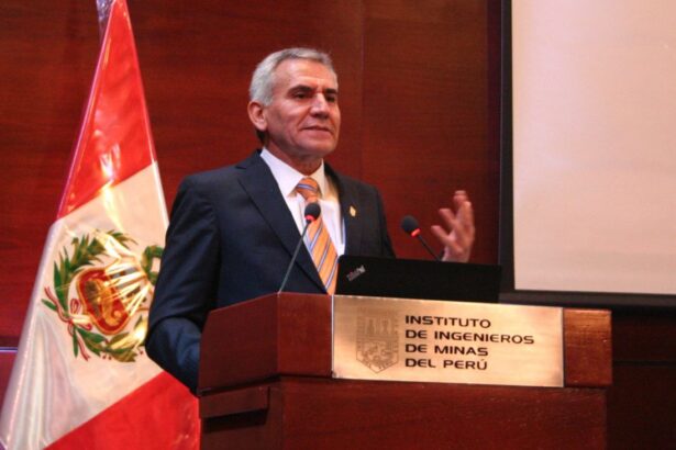 Desafíos de la minería ilegal en Perú: impacto económico y social.