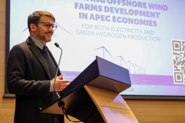 Éxito en seminario "Desarrollo de Parques Eólicos Marinos" en APEC Chile