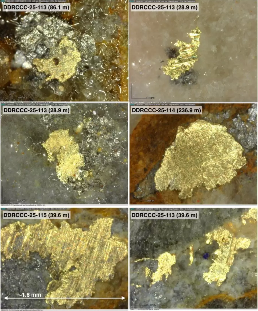 El oro de Sitka se cruza con múltiples ocurrencias de oro visible desde cerca de la superficie en seis pozos iniciales de perforación diamantina completados en la zona de contacto, Proyecto de oro RC, Yukón El oro de Sitka se cruza con múltiples ocurrencias de oro visible desde cerca de la superficie en seis pozos iniciales de perforación diamantina completados en la zona de contacto, Proyecto de oro RC, Yukón
