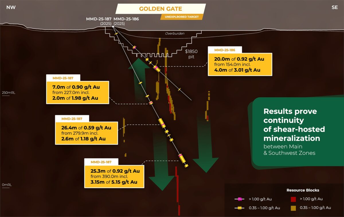 Goldshore Resources intercepta 25,3 m de 0,92 g/t Au, incluidos 3,15 m de 5,15 g/t Au desde 391,85 m, lo que demuestra la continuidad de las cizallas entre las zonas principal y suroeste