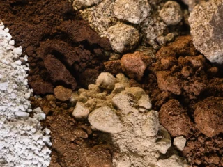 Aclara y Virginia Tech anuncian acuerdo estratégico para fortalecer la tecnología e innovación en tierras raras