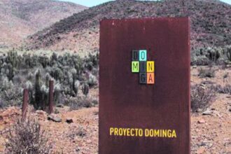 Fallo Tribunal Constitucional: Rechazo a requerimiento contra proyecto minero Dominga