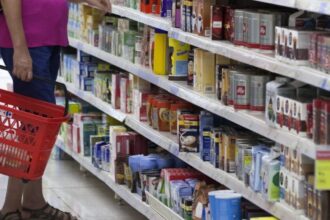 Análisis detallado: Alzas y bajas en el Índice de Precios en Chile