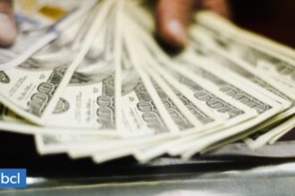 Descenso del dólar: factores locales e internacionales influyen en su caída