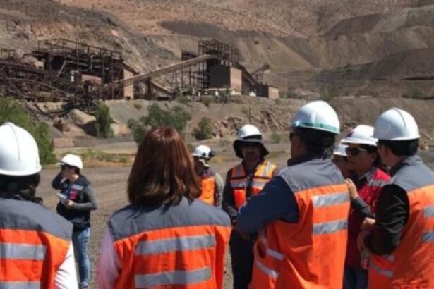 Impugnación contra proyecto de Recuperación de Acopios en Atacama desafía legalidad