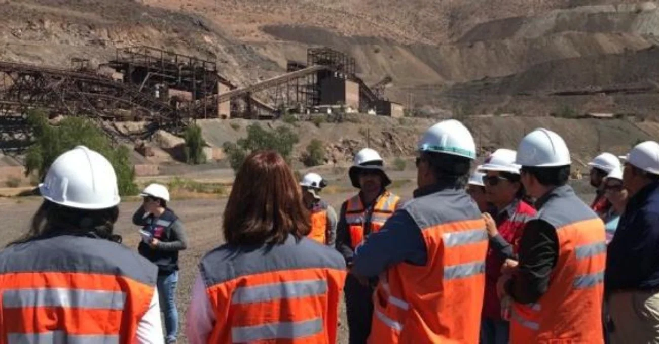 Impugnación contra proyecto de Recuperación de Acopios en Atacama desafía legalidad