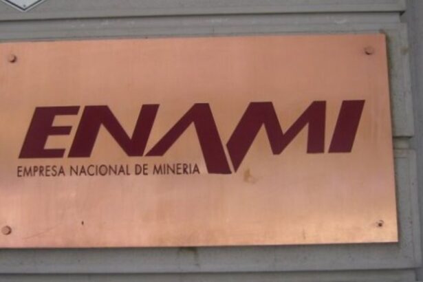 Enami cierra refinanciamiento con crédito de US$30 millones de Bladex