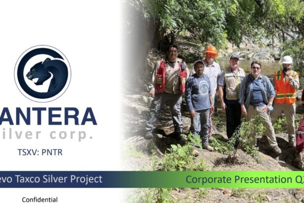 Pantera Silver Anuncia Avances en Rakanco: Estudio Satelital y Encuesta Magnética.