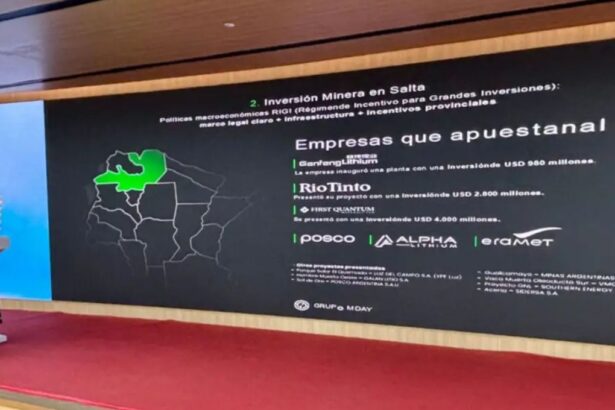 RIGI en Argentina: Expectativas incumplidas y proyectos pendientes tras un año