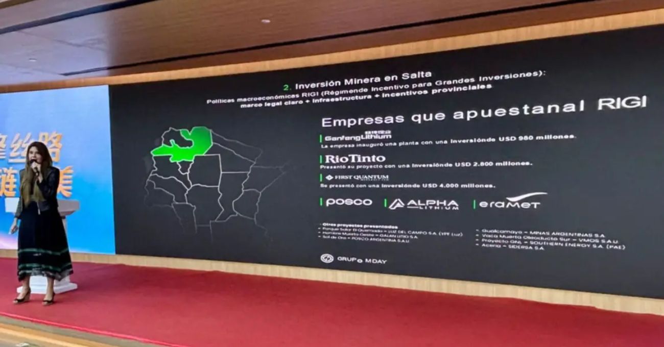 RIGI en Argentina: Expectativas incumplidas y proyectos pendientes tras un año