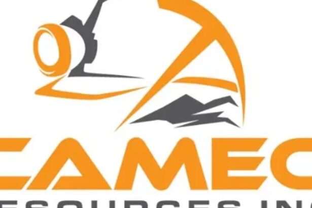 Brasil: Cameo Resources completa NI43-101, inicia la geofísica y expande propiedad Katoro en TANZANIA