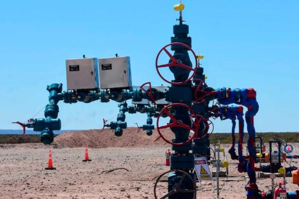 Impulso en Vaca Muerta: Río Negro apuesta por nueva exploración