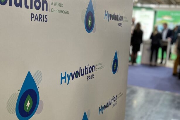 Techint destaca en Hyvolution 2025 como pionero del hidrógeno verde