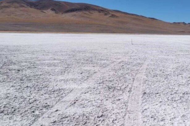 Avanza en Jujuy proyecto litio Cilon con definición del basamento