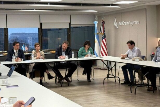 Avances en minería sostenible de Mendoza: consenso y desarrollo estratégico