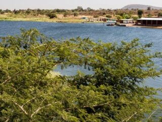 Agua potable en Zambia, ¿segura a pesar de metales pesados?