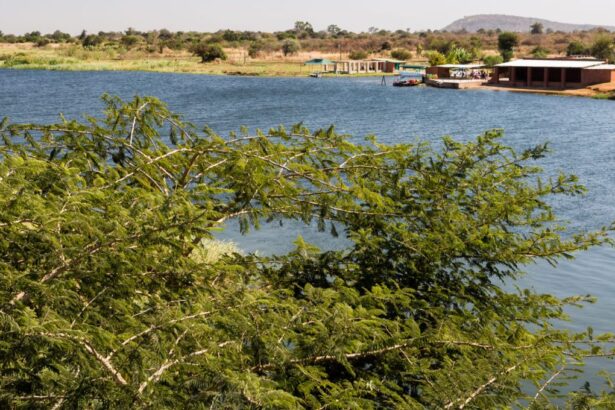 Agua potable en Zambia, ¿segura a pesar de metales pesados?