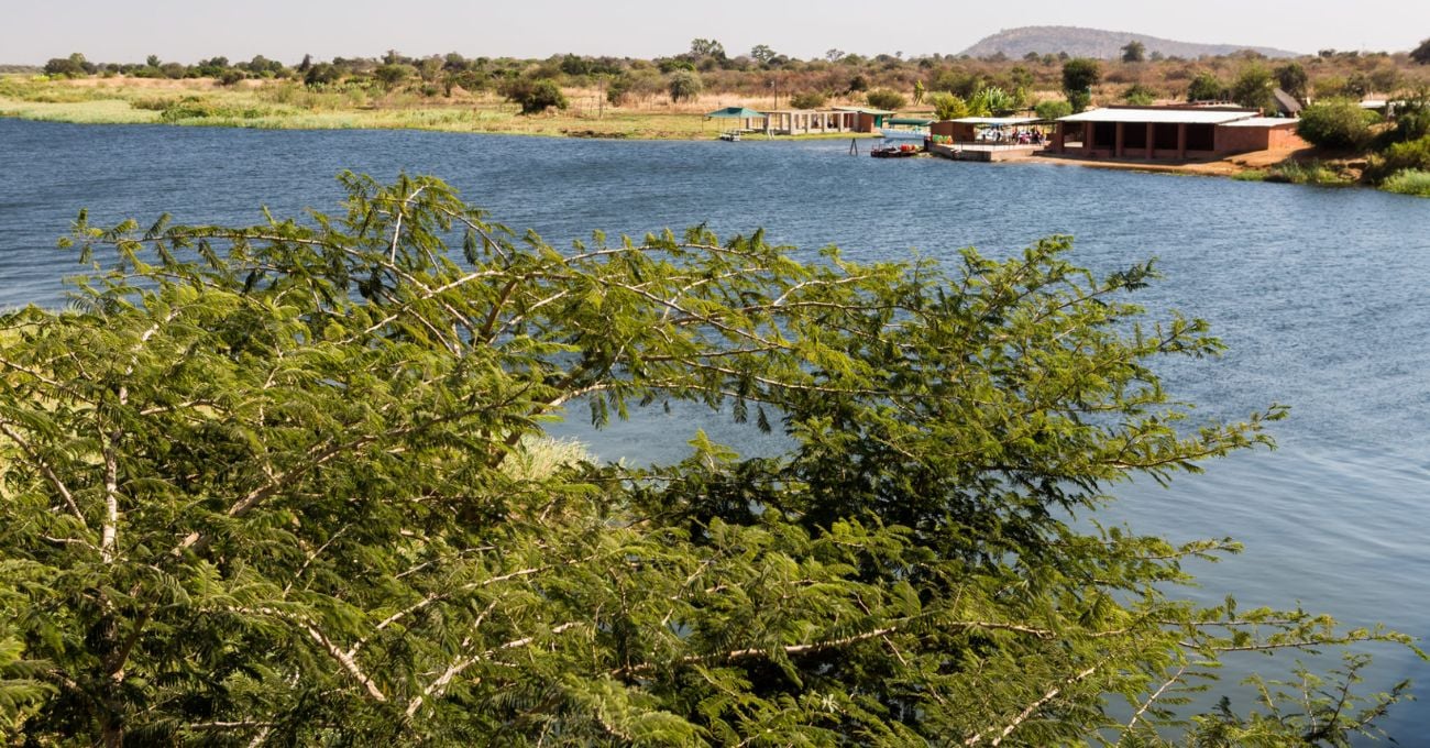 Agua potable en Zambia, ¿segura a pesar de metales pesados?