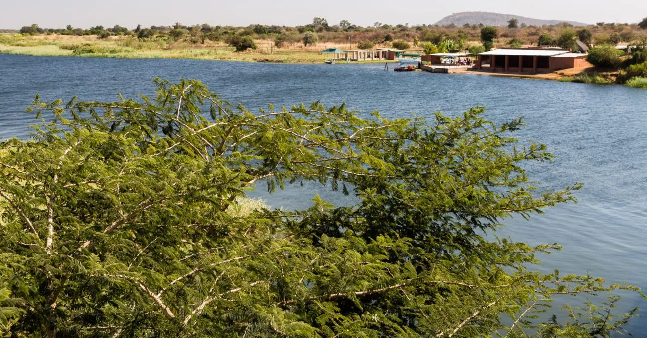 Agua potable en Zambia, ¿segura a pesar de metales pesados?