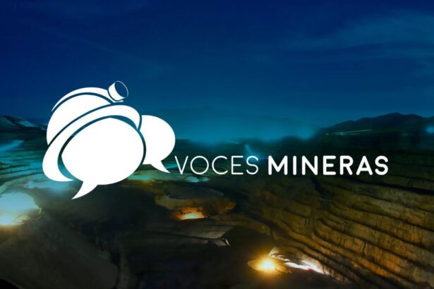 Declaración Pública de la Asociación Gremial Voces Mineras