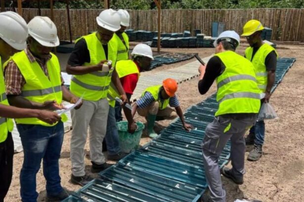 Liberia: Zodiac Gold concluye su programa de perforación con sólidos resultados finales, incluyendo 18m a 4,67 g/t Au