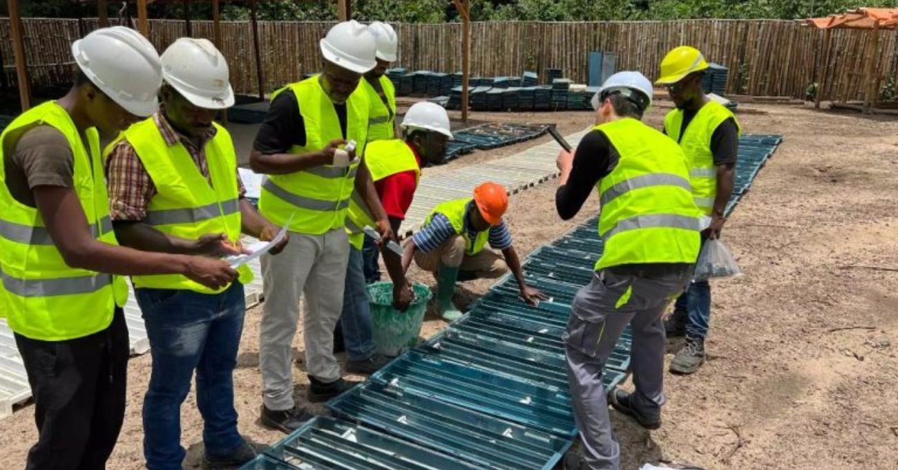 Liberia: Zodiac Gold concluye su programa de perforación con sólidos resultados finales, incluyendo 18m a 4,67 g/t Au