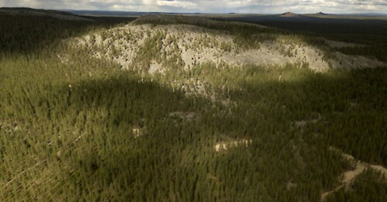 Finlandia: Aurion Resources intercepta 4,42 g/t Au en 32,55 m en Kaaresselkä, Risti Property