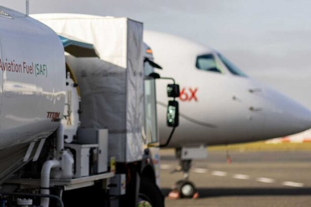 Producción de Combustible Sostenible revoluciona la aviación chilena con camelina.