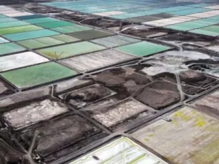 Acción de SQM alcanza máximos por restricción china en litio.