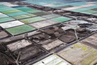 Acción de SQM alcanza máximos por restricción china en litio.