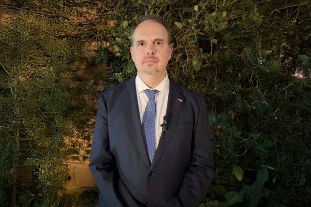 Alemania busca alianza estratégica con Perú fortaleciendo la minería formal