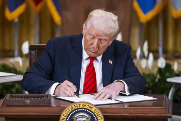 Trump analiza redirigir US$2.000 millones hacia minerales críticos en EE.UU.