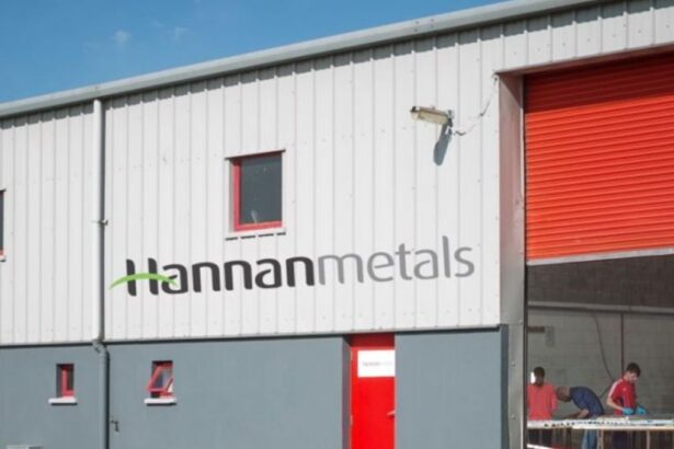 Descubrimientos mineros en Perú: Hannan Metals destaca en proyecto Belén